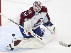 Avalanche Wild Hockey