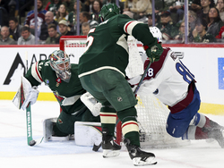 Avalanche Wild Hockey