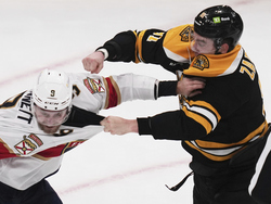 Panthers Bruins Hockey