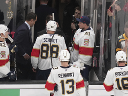 Panthers Bruins Hockey