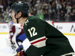 Avalanche Wild Hockey