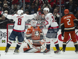 Capitals Ducks Hockey