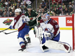 Avalanche Wild Hockey