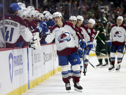 Avalanche Wild Hockey
