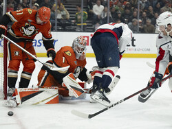 Capitals Ducks Hockey