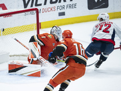 Capitals Ducks Hockey