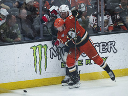 Capitals Ducks Hockey