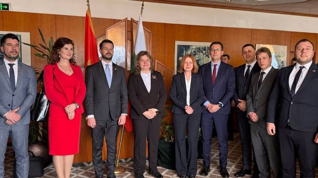 Петър Петров пред Президентът на Черна гора: Влизането в Еврозоната ще донесе щети 