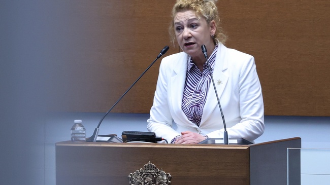 Continue the Change-Democratoc Bulgaria Call for Comphensive Probes of Care Homes