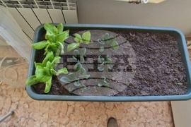 Село Орешак - Троян - СТЕМ кабинет - зелени технологии