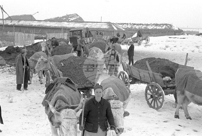 March 12, 1946: Parliament Passes Law Enabling Communist-Era Farm Collectivization