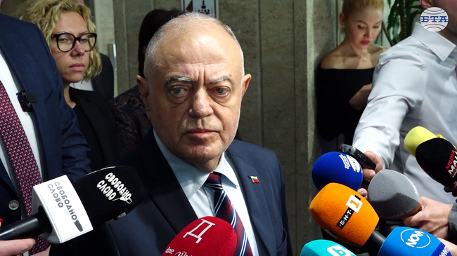 Народното събрание роди едно недоносче, каза Атанас Атанасов за приетата декларация за конституционното дело за законността на изборите