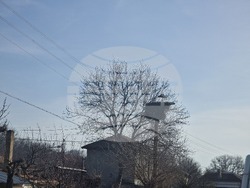 Търговище - кв. Бряг - щъркел