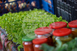 Благоевград - ежедневие - пазарен ден