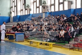 Кърджали - карате - демонстрация