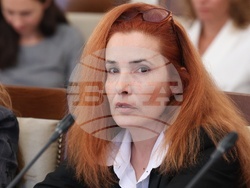 Народно събрание - Комисия по икономическа политика и иновации - заседание