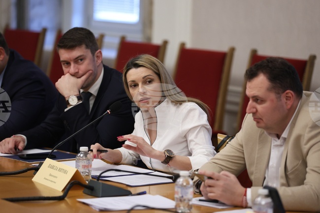 Народно събрание - Комисия по енергетика - заседание