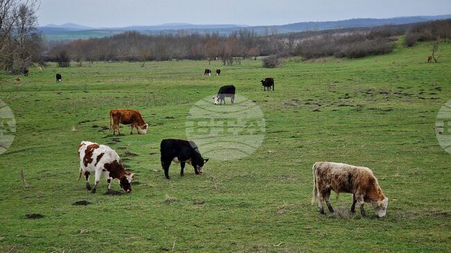 Над 40 млн. лева са преведени на земеделските стопани по агроекологичните интервенции за Кампания 2025