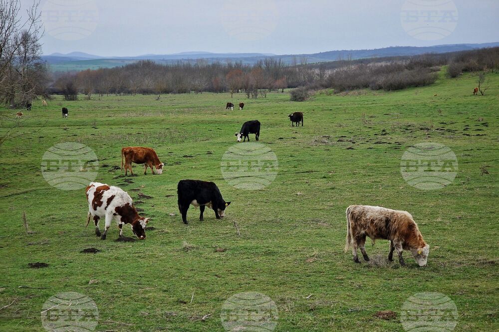 Над 40 млн. лева са преведени на земеделските стопани по агроекологичните интервенции за Кампания 2025