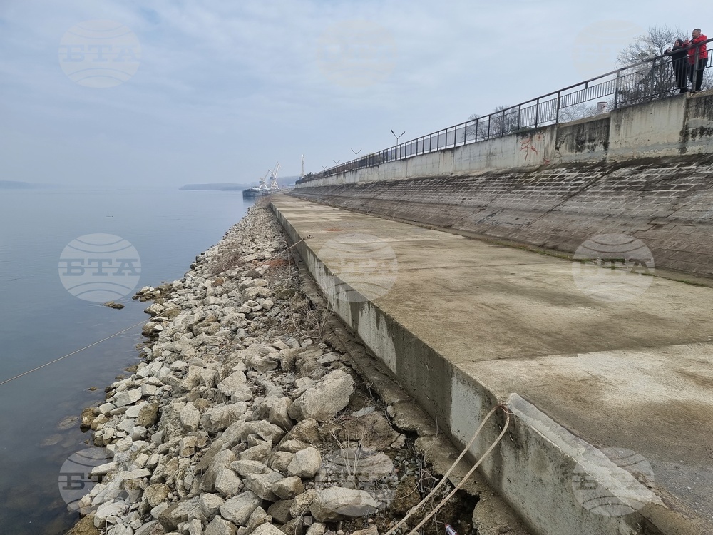 Лом - река Дунав - ниво