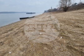 Лом - река Дунав - ниво