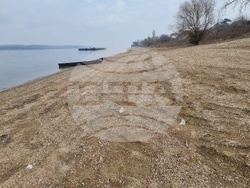 Лом - река Дунав - ниво