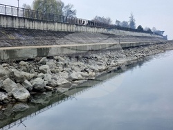 Лом - река Дунав - ниво