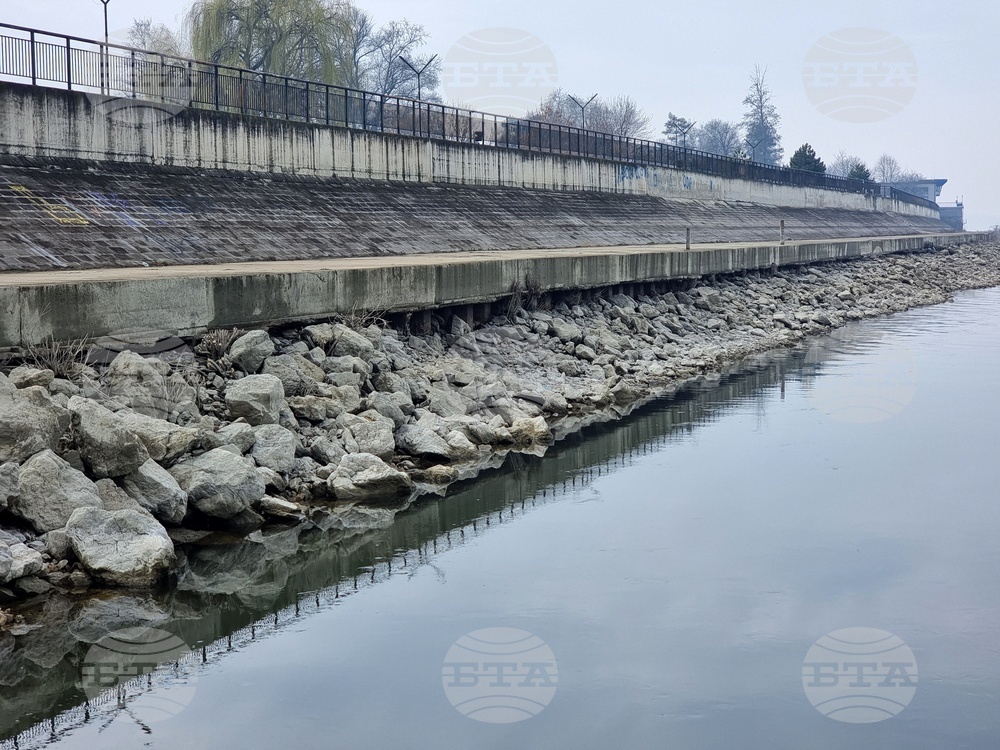 Лом - река Дунав - ниво