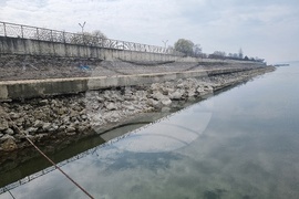 Лом - река Дунав - ниво