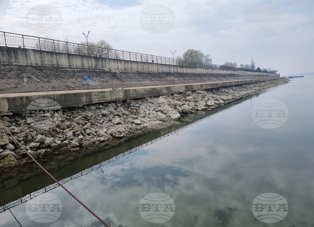 Лом - река Дунав - ниво