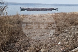 Лом - река Дунав - ниво