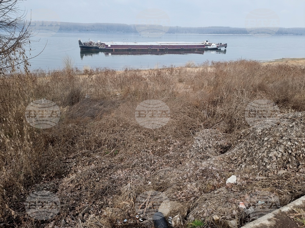 Лом - река Дунав - ниво