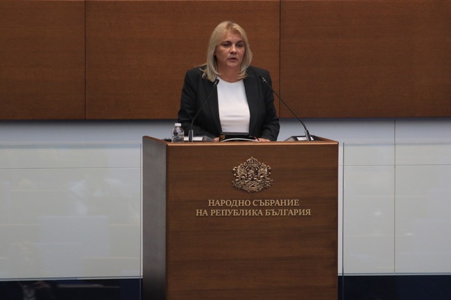 Мая Димитрова: Веднага след установяване на липса на бюлетини е трябвало да бъде сезирана прокуратурата