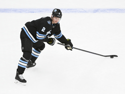 Utah Ducks Hockey