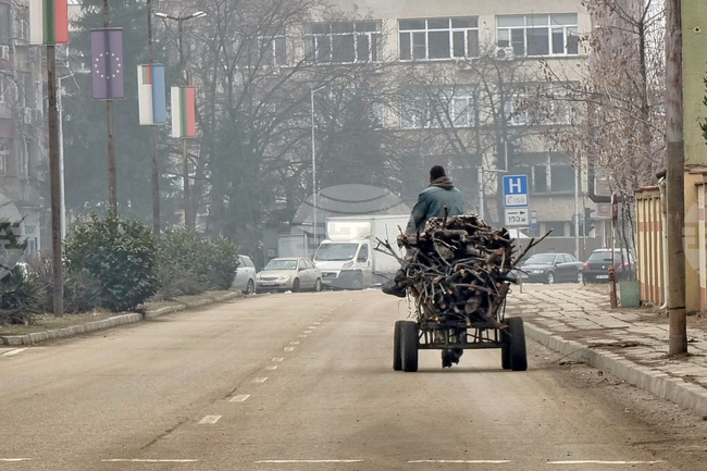 Десет случая на незаконно добита дървесина са установени в Монтанско за два дни