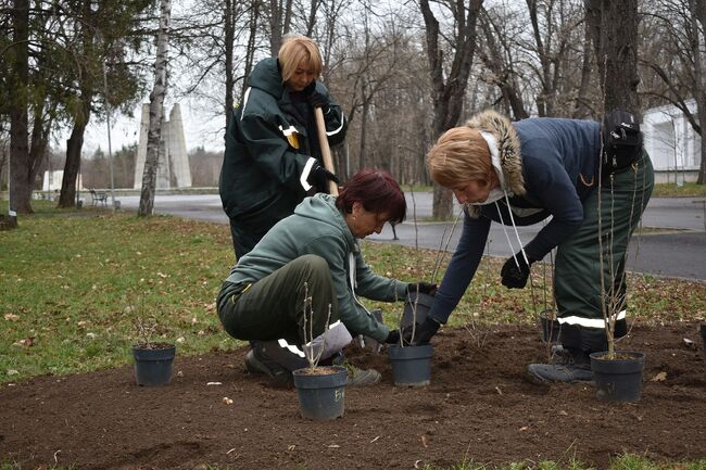 С нови дървета и цветя ще бъде обогатено зеленото пространство на Градския парк в Разград