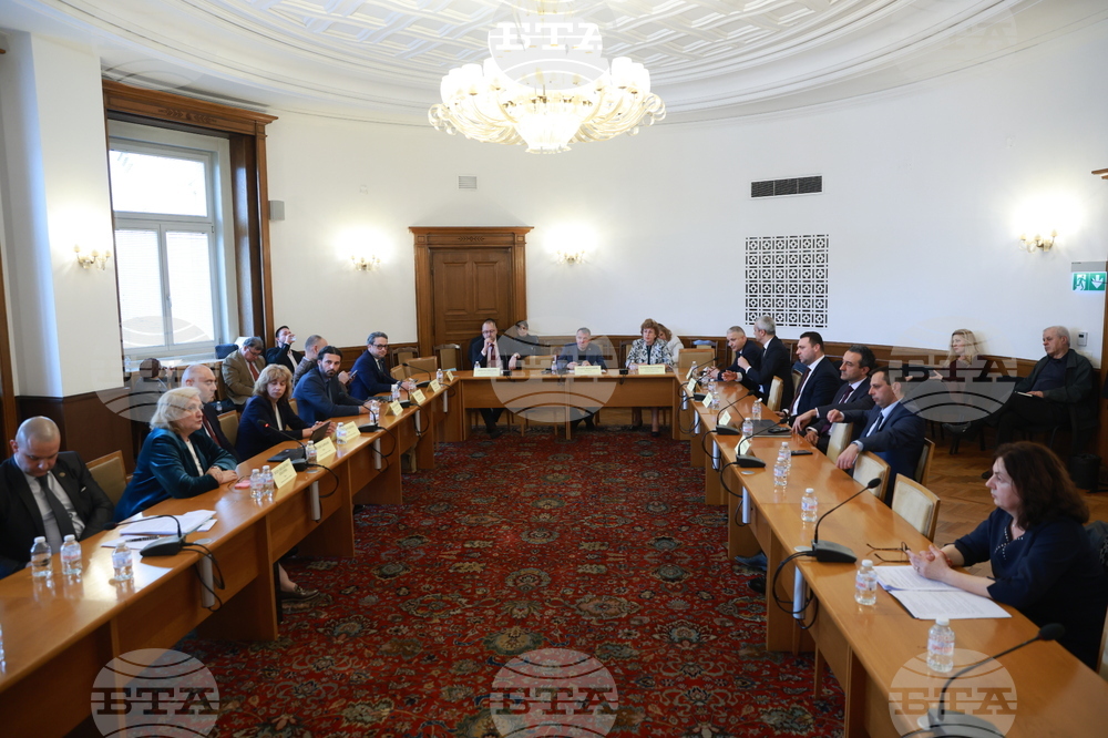 Комисията по културата и медиите в НС не прие законопроект за преименуването на Националната библиотека