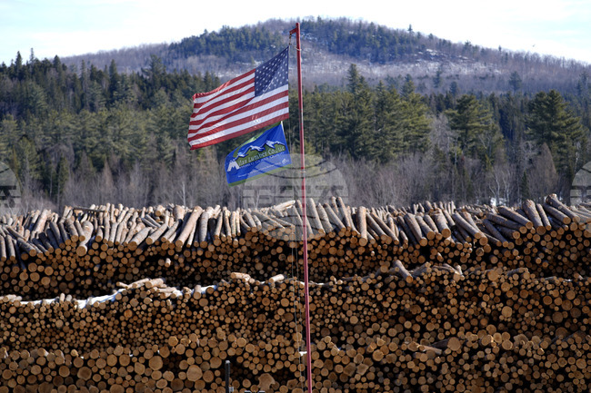 Президентът на САЩ Доналд Тръмп въведе мито от 10 на сто върху вноса на дървесина и 25 на сто за кухненски шкафове и мебели за баня