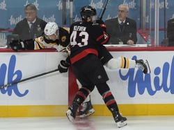 Senators Bruins Hockey