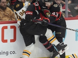 Senators Bruins Hockey