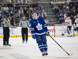 Panthers Maple Leafs Hockey