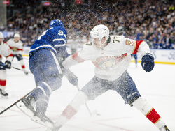Panthers Maple Leafs Hockey