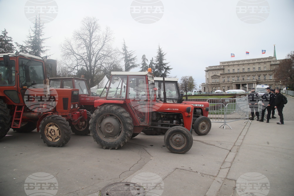 Сърбия - контрапротестиращи - лагер