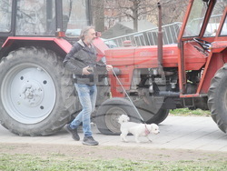 Сърбия - контрапротестиращи - лагер