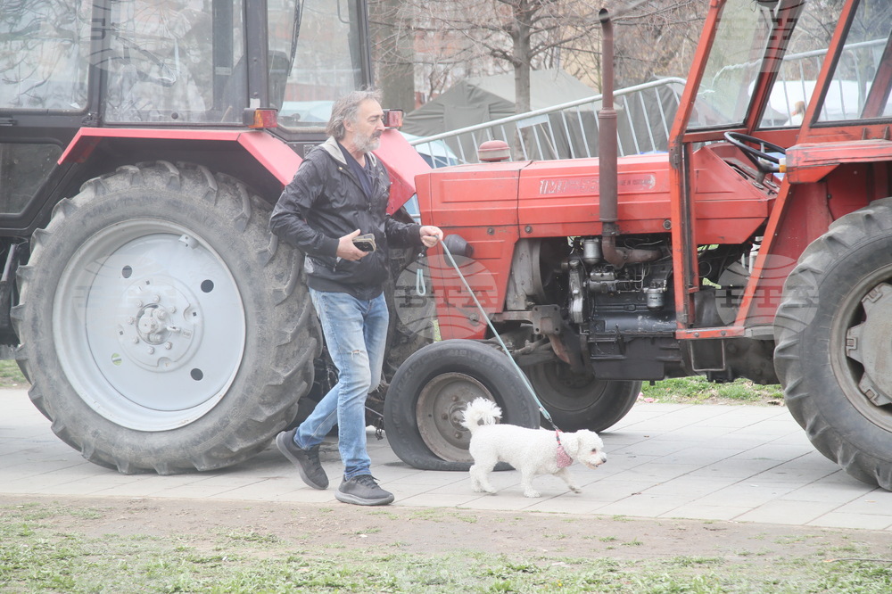 Сърбия - контрапротестиращи - лагер