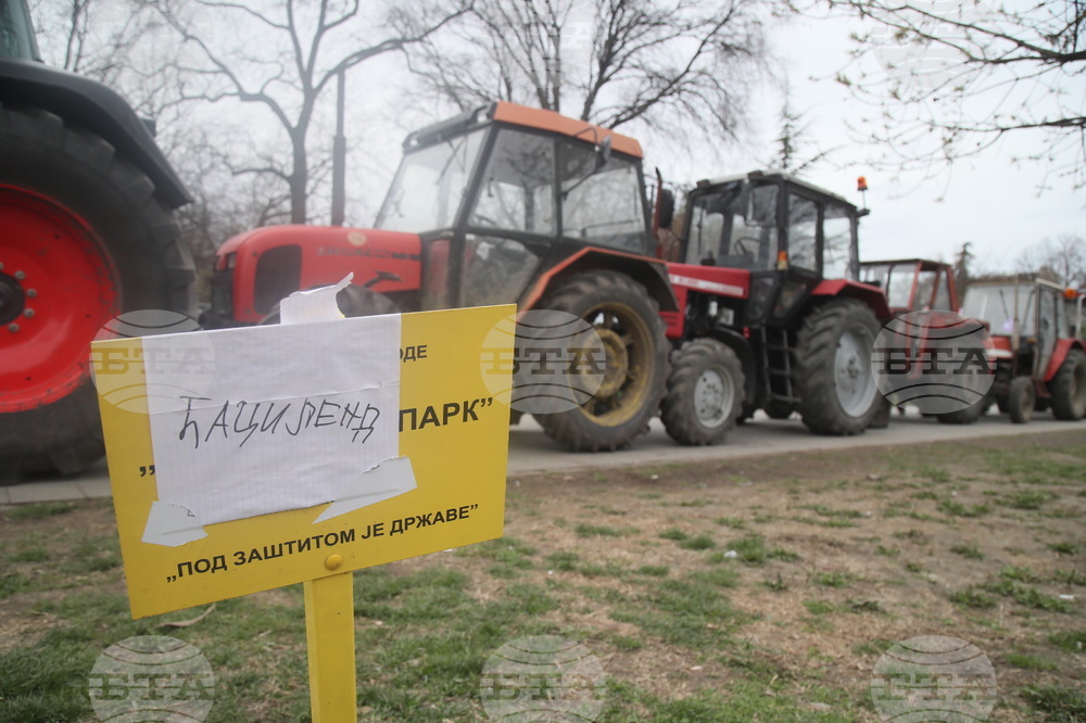 Сръбската полиция арестува лица, заподозрени в нападение над лидера на контрапротестиращите студенти