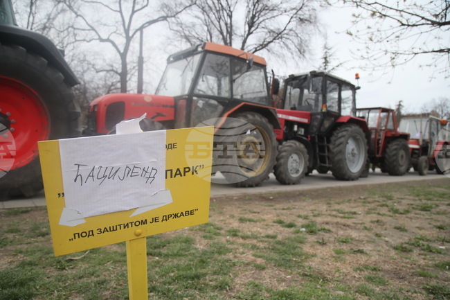 Сръбската полиция арестува лица, заподозрени в нападение над лидера на контрапротестиращите студенти