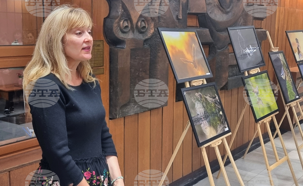 Хасково - Богдан Боев - изложба