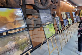 Хасково - Богдан Боев - изложба