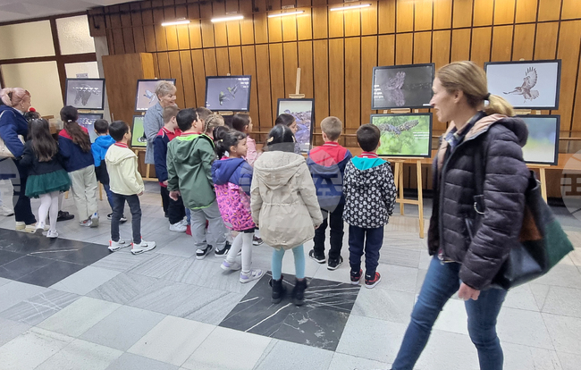 Хасково - Богдан Боев - изложба